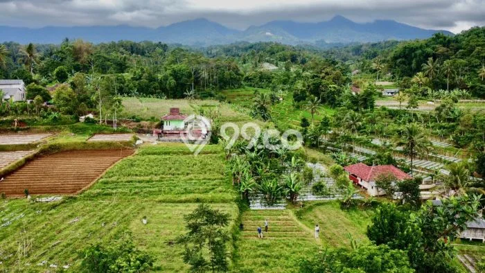 Kavling Tanah di Bojong Dijual Luas 5007m2 Legalitas SHM Kavling Tanah di Bojong Dijual Luas 5007m2 Legalitas SHM