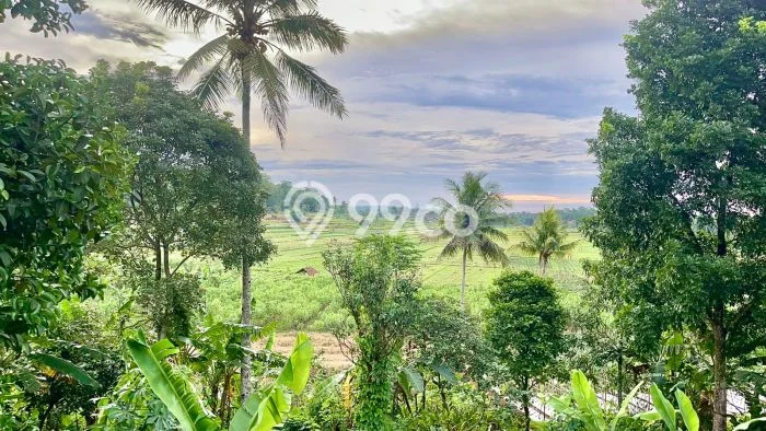 Lahan Investasi Lokasi Kiarapedes Purwakarta SHM Lahan Investasi Lokasi Kiarapedes Purwakarta SHM