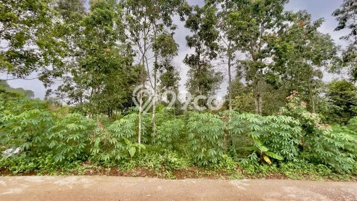 Tanah Dijual Lokasi Bojong, Purwakarta dengan Luas Tanah 1885m2 dan Status SHM Tanah Dijual Lokasi Bojong, Purwakarta dengan Luas Tanah 1885m2 dan Status SHM