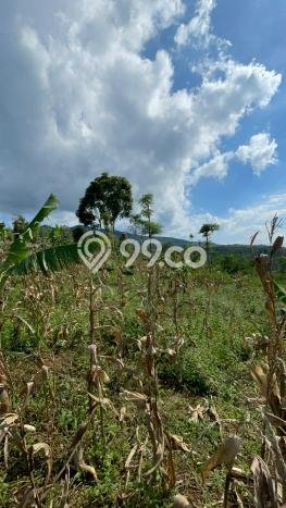 Tanah untuk Dijual di Sumedang Selatan Sumedang Luas 2774m2 Tanah untuk Dijual di Sumedang Selatan Sumedang Luas 2774m2
