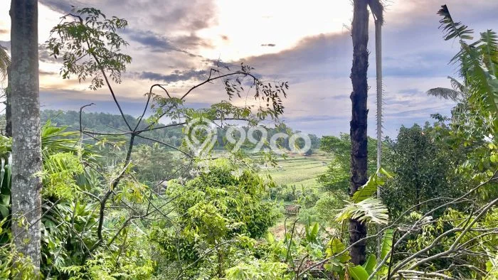 Lahan Investasi Lokasi Kiarapedes Purwakarta SHM Lahan Investasi Lokasi Kiarapedes Purwakarta SHM