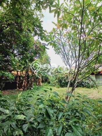 Dijual Rumah Mewah Elegan Dengan View Eksklusif di Kemang, Jakarta Selatan Dijual Rumah Mewah Elegan Dengan View Eksklusif di Kemang, Jakarta Selatan