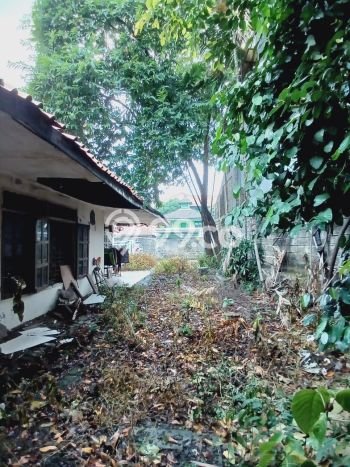 Hunian Elit LB 170m2 Siap Pakai Desain Elegan di Pesanggrahan, Jakarta Barat Hunian Elit LB 170m2 Siap Pakai Desain Elegan di Pesanggrahan, Jakarta Barat