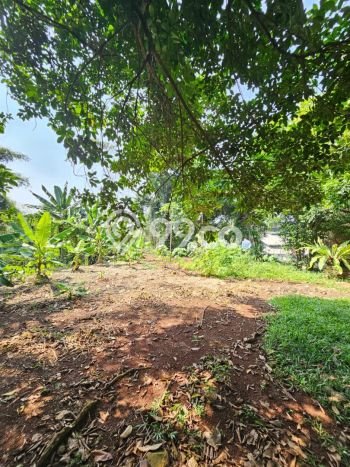Dijual Rumah Premium dengan Fasilitas Sekitar Lengkap di Cilandak, Jakarta Selatan Dijual Rumah Premium dengan Fasilitas Sekitar Lengkap di Cilandak, Jakarta Selatan