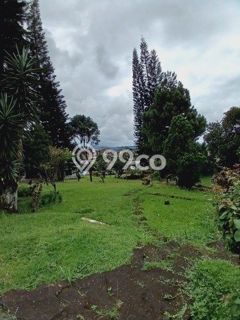 Vila Kawasan Cisarua, Ukuran 4000m2m², Area Potensial untuk usaha Vila Kawasan Cisarua, Ukuran 4000m2m², Area Potensial untuk usaha