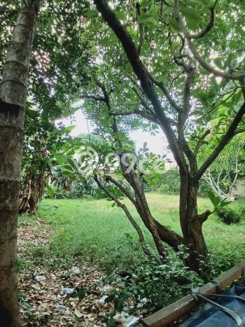 Dijual Rumah Mewah Elegan Dengan View Eksklusif di Kemang, Jakarta Selatan Dijual Rumah Mewah Elegan Dengan View Eksklusif di Kemang, Jakarta Selatan