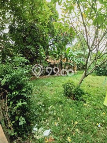 Dijual Rumah Mewah Elegan Dengan View Eksklusif di Kemang, Jakarta Selatan Dijual Rumah Mewah Elegan Dengan View Eksklusif di Kemang, Jakarta Selatan