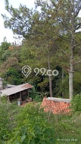 Lahan Dijual Lokasi Strategis di Bandung dengan Luas 1770m2 Lahan Dijual Lokasi Strategis di Bandung dengan Luas 1770m2
