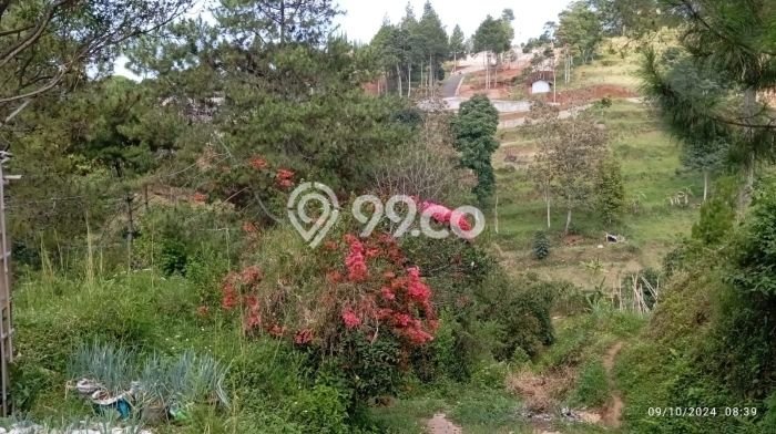 Lahan Dijual Lokasi Strategis di Bandung dengan Luas 1770m2 Lahan Dijual Lokasi Strategis di Bandung dengan Luas 1770m2