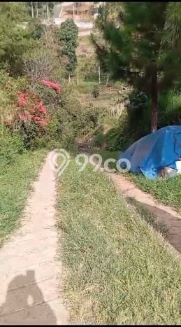 Lahan Dijual Lokasi Strategis di Bandung dengan Luas 1770m2 Lahan Dijual Lokasi Strategis di Bandung dengan Luas 1770m2