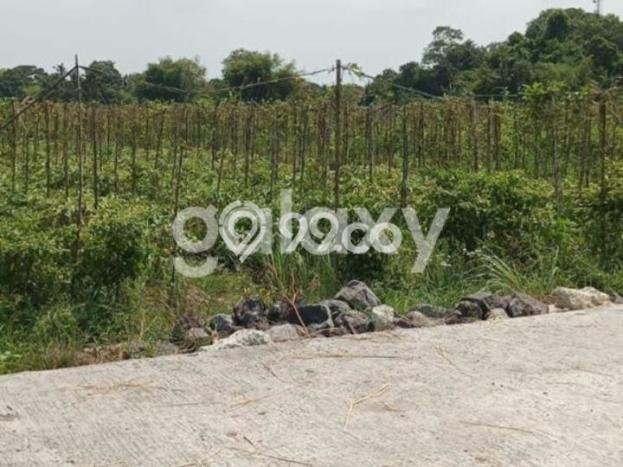 Tanah Kawasan Kediri, Luas 500m², Area Strategis, Lingkungan Asri Tanah Kawasan Kediri, Luas 500m², Area Strategis, Lingkungan Asri