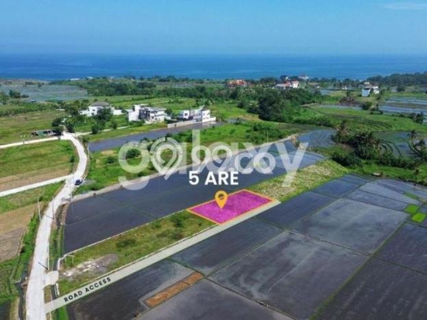 Tanah Kawasan Kediri, Luas 500m², Area Strategis, Lingkungan Asri Tanah Kawasan Kediri, Luas 500m², Area Strategis, Lingkungan Asri