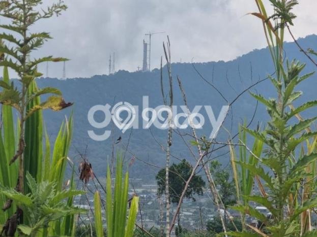 Tanah Dijual Lokasi Sukasada Buleleng SHM Tanah Dijual Lokasi Sukasada Buleleng SHM