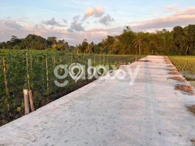Tanah Kawasan Kediri, Luas 500m², Area Strategis, Lingkungan Asri Tanah Kawasan Kediri, Luas 500m², Area Strategis, Lingkungan Asri