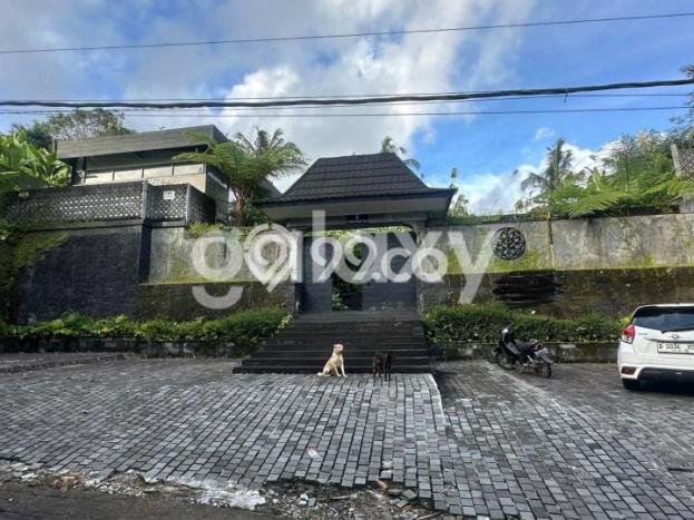 HARGA TERBAIK! Vila di Payangan, Area 1600m2m², Lokasi Strategis HARGA TERBAIK! Vila di Payangan, Area 1600m2m², Lokasi Strategis