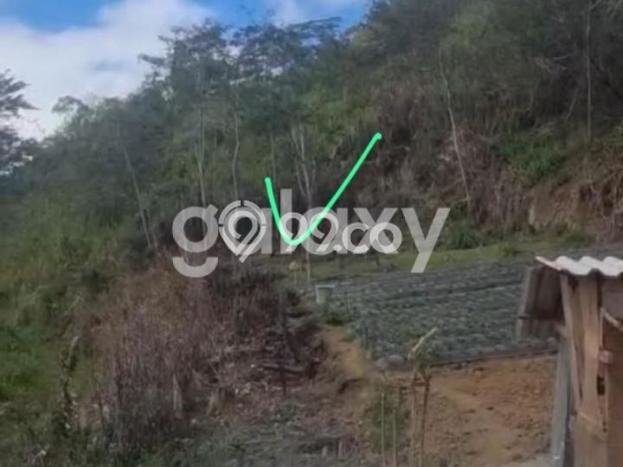 Tanah Dijual Lokasi Sukasada Buleleng SHM Tanah Dijual Lokasi Sukasada Buleleng SHM