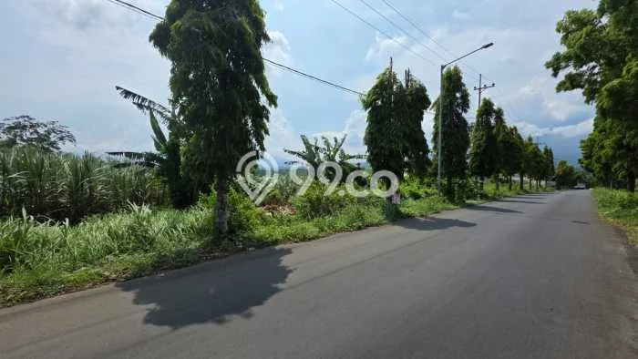 Lahan Kosong Dijual di Malang dengan Area 50000m2 Lahan Kosong Dijual di Malang dengan Area 50000m2
