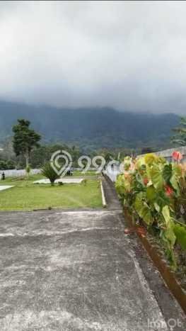 Tanah Kavling Dijual di Tabanan dengan Spesifikasi 5000m2 Tanah Kavling Dijual di Tabanan dengan Spesifikasi 5000m2