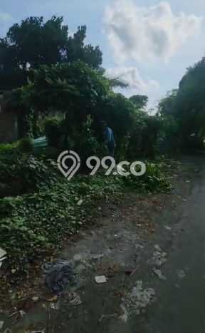 Lahan Disewakan Lokasi Sanur Denpasar Luas 250m2 Lahan Disewakan Lokasi Sanur Denpasar Luas 250m2