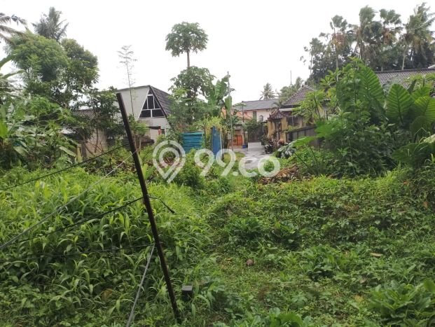 Jarang Ada! Tanah di Ubud Punya Luas 300m2 SHM Jarang Ada! Tanah di Ubud Punya Luas 300m2 SHM