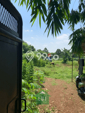 Tanah Kavling untuk Dijual di Cikeusal Serang 9013m2 Tanah Kavling untuk Dijual di Cikeusal Serang 9013m2