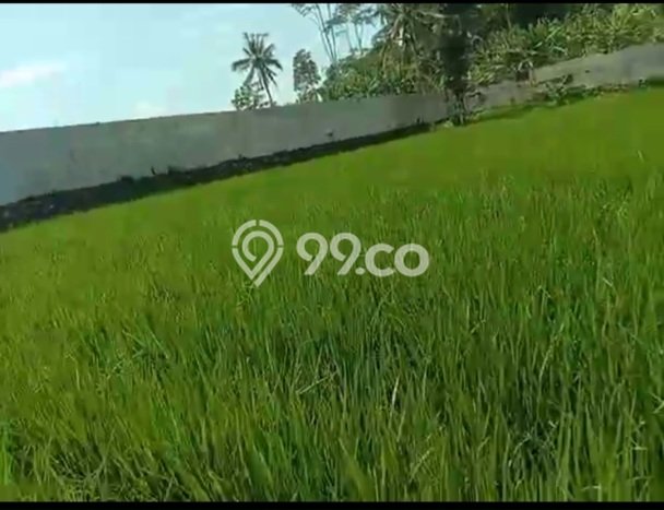 Dijual Tanah di Karangnunggal Tasikmalaya Luas 17000m2 SHM Dijual Tanah di Karangnunggal Tasikmalaya Luas 17000m2 SHM