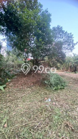 Tanah Dijual Lokasi Pasar Minggu, Jakarta Selatan dengan Luas Tanah 3115m2 dan Status SHM Tanah Dijual Lokasi Pasar Minggu, Jakarta Selatan dengan Luas Tanah 3115m2 dan Status SHM