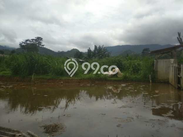 Lahan Kosong Dijual di Bogor dengan Area 40000m2 Lahan Kosong Dijual di Bogor dengan Area 40000m2
