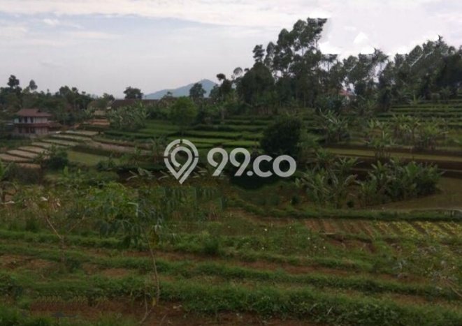 Dijual Tanah di Ciwidey Bandung Luas 11400m2 SHM Dijual Tanah di Ciwidey Bandung Luas 11400m2 SHM