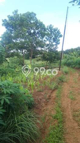 Dijual Tanah di Leuwiliang Bogor Luas 21810m2 SHM Dijual Tanah di Leuwiliang Bogor Luas 21810m2 SHM