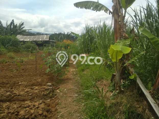 Lahan Kosong Dijual di Bogor dengan Area 40000m2 Lahan Kosong Dijual di Bogor dengan Area 40000m2