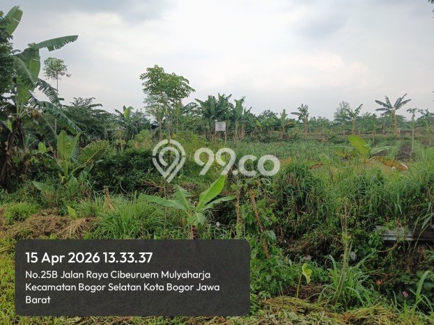 Tanah Dijual Area Strategis di Mulyaharja Bogor 40000m2 Tanah Dijual Area Strategis di Mulyaharja Bogor 40000m2
