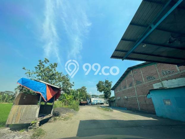 Gudang Disewakan Lokasi Beji Pasuruan Harga Spesial! Gudang Disewakan Lokasi Beji Pasuruan Harga Spesial!