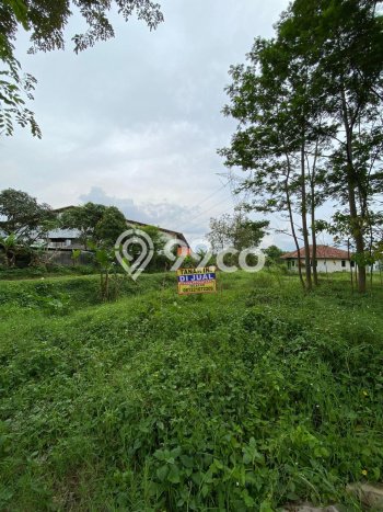 Tanah Dijual Lokasi Majalaya, Bandung Luas 700m2 Legalitas Aman Tanah Dijual Lokasi Majalaya, Bandung Luas 700m2 Legalitas Aman