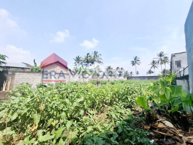 Disewakan Segera Rumah Kondisi Baik di Area Pakis, Malang Disewakan Segera Rumah Kondisi Baik di Area Pakis, Malang