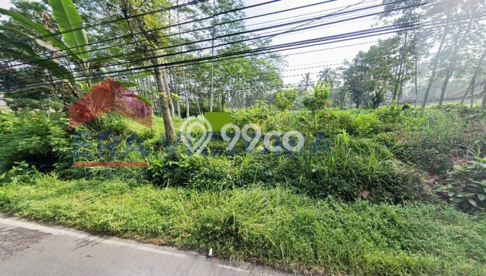 Kavling Tanah Dijual di Kedungkandang, Malang, Luas 6000m2 Area Strategis Kavling Tanah Dijual di Kedungkandang, Malang, Luas 6000m2 Area Strategis
