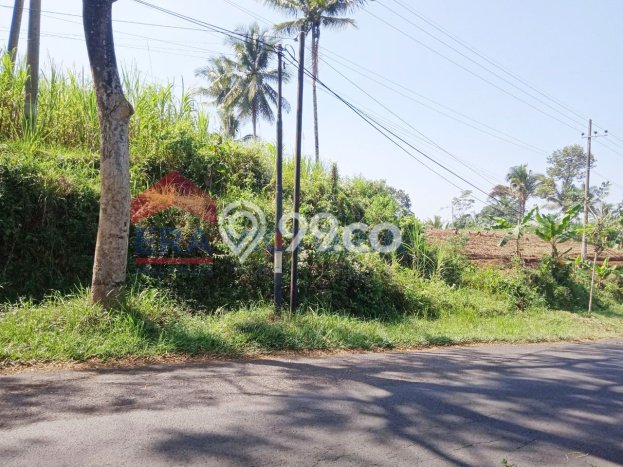 Tanah Dijual Lokasi Wonosari, Malang dengan Luas Tanah 6373m2 dan Status SHM Tanah Dijual Lokasi Wonosari, Malang dengan Luas Tanah 6373m2 dan Status SHM