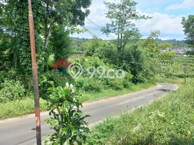 Tanah Dijual Lokasi Wagir Malang SHM Tanah Dijual Lokasi Wagir Malang SHM