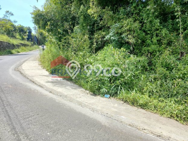 Tanah Dijual Lokasi Wagir Malang SHM Tanah Dijual Lokasi Wagir Malang SHM