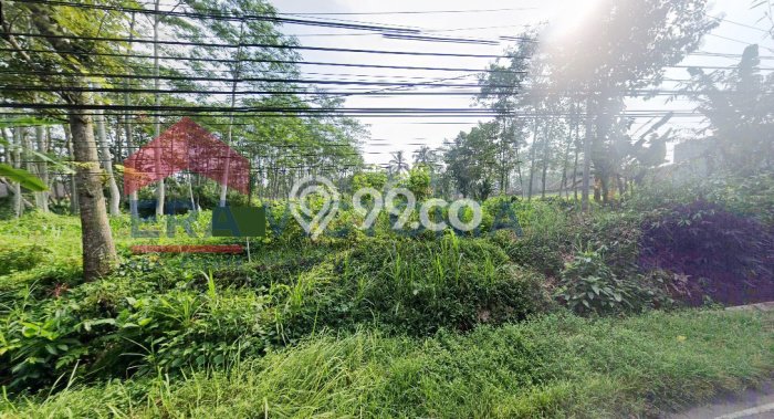 Kavling Tanah Dijual di Kedungkandang, Malang, Luas 6000m2 Area Strategis Kavling Tanah Dijual di Kedungkandang, Malang, Luas 6000m2 Area Strategis