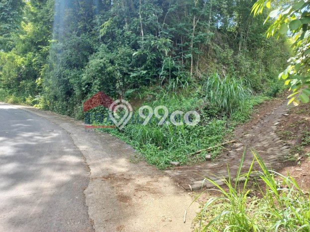 Tanah Dijual Lokasi Wagir Malang SHM Tanah Dijual Lokasi Wagir Malang SHM