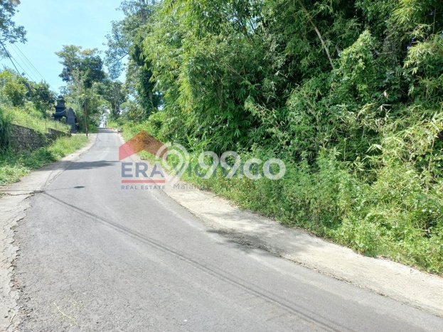 Tanah Dijual Lokasi Wagir Malang SHM Tanah Dijual Lokasi Wagir Malang SHM