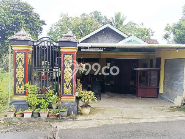 Dijual Rumah Minimalis Bagus Punya 3 KT di Punung Pacitan SHM Dijual Rumah Minimalis Bagus Punya 3 KT di Punung Pacitan SHM
