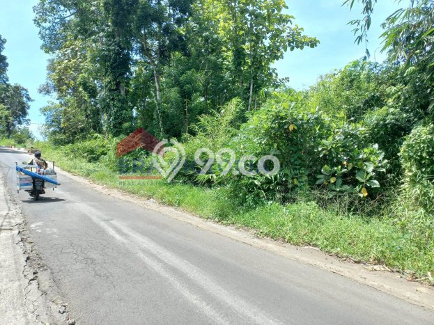 Tanah Dijual Lokasi Wagir Malang SHM Tanah Dijual Lokasi Wagir Malang SHM