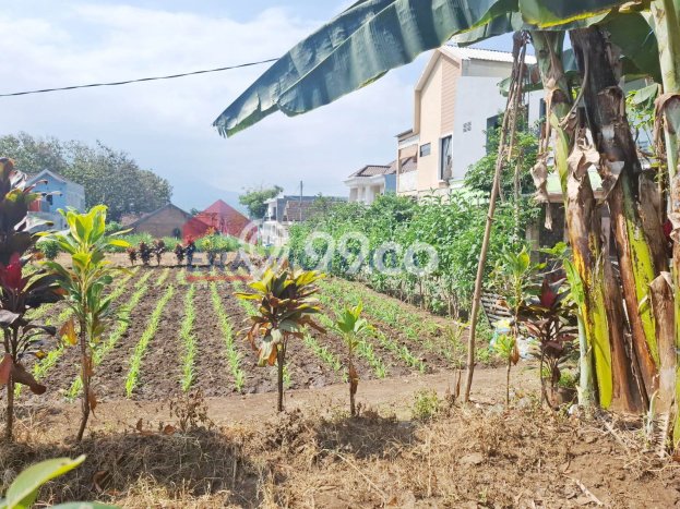 Jarang Ada! Tanah di Junrejo Punya Luas 384m2 SHM Jarang Ada! Tanah di Junrejo Punya Luas 384m2 SHM