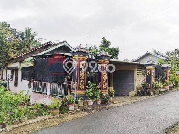 Dijual Rumah Minimalis Bagus Punya 3 KT di Punung Pacitan SHM Dijual Rumah Minimalis Bagus Punya 3 KT di Punung Pacitan SHM