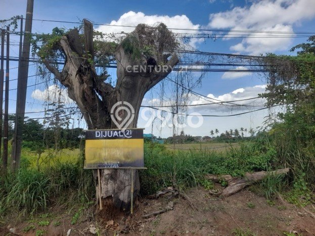 Tanah Dijual Lokasi Strategis di Cilegon dengan Luas 10400m2 Tanah Dijual Lokasi Strategis di Cilegon dengan Luas 10400m2