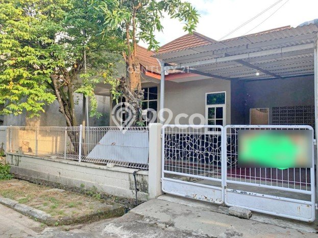 Rumah Minimalis 3 KT LT 165m2 di Cilegon Indah Rumah Minimalis 3 KT LT 165m2 di Cilegon Indah