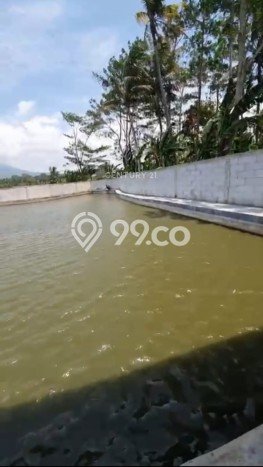 Siap Huni Rumah Mewah 3 Kamar di Angsana Dekat ke Mana Saja Siap Huni Rumah Mewah 3 Kamar di Angsana Dekat ke Mana Saja