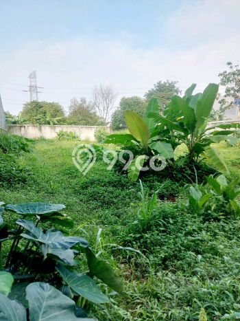 Tanah Kavling untuk Dijual di Pancoran Mas Depok 875m2 Tanah Kavling untuk Dijual di Pancoran Mas Depok 875m2
